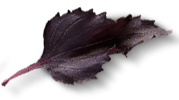 parallax-2